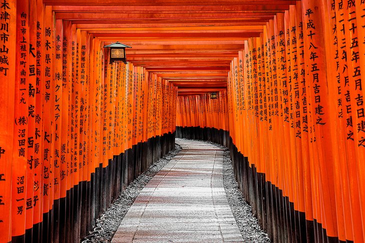 Refined Journeys: Japan