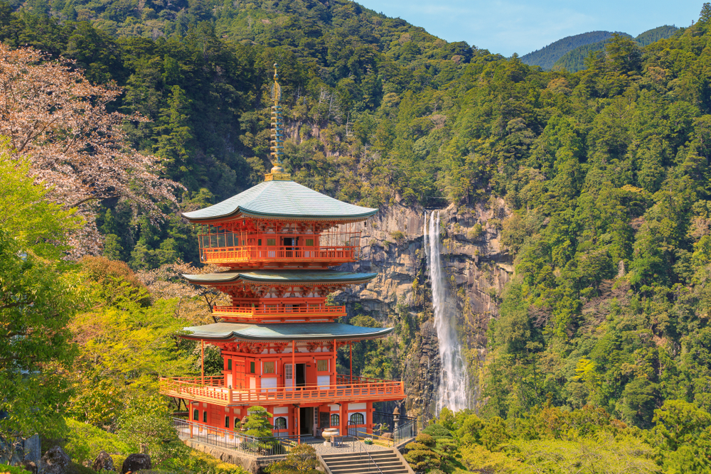 Curated Japan